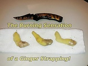 The Burning Sensation of a Ginger Strapping (Spanking)